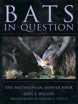 cover image of Bats in Question